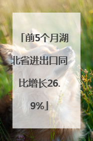 前5个月湖北省进出口同比增长26.9%