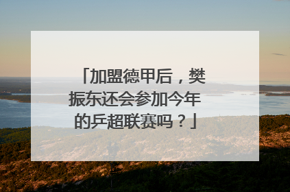 加盟德甲后，樊振东还会参加今年的乒超联赛吗？