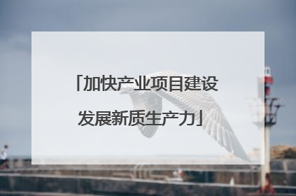 加快产业项目建设 发展新质生产力