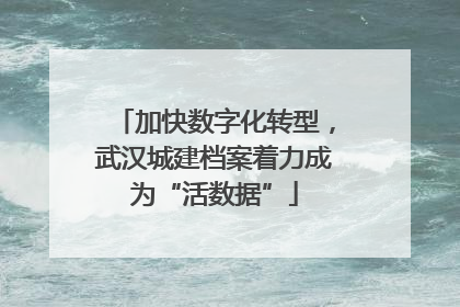 加快数字化转型，武汉城建档案着力成为“活数据”