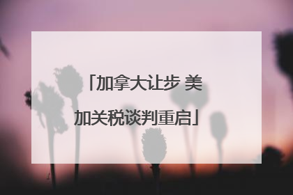 加拿大让步 美加关税谈判重启