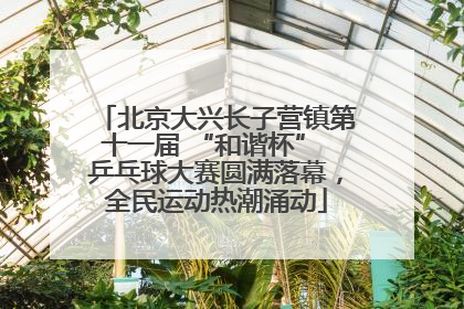 北京大兴长子营镇第十一届 “和谐杯” 乒乓球大赛圆满落幕，全民运动热潮涌动