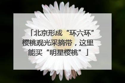 北京形成“环六环”樱桃观光采摘带，这里能买“明星樱桃”