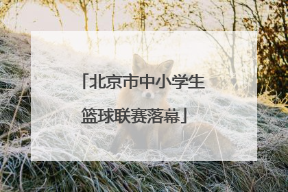 北京市中小学生篮球联赛落幕