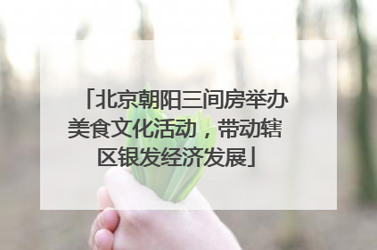 北京朝阳三间房举办美食文化活动，带动辖区银发经济发展