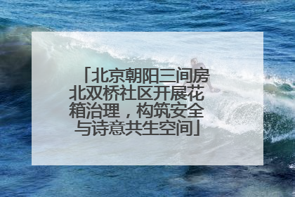 北京朝阳三间房北双桥社区开展花箱治理，构筑安全与诗意共生空间