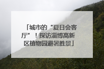 城市的“夏日会客厅”！探访淄博高新区植物园避暑胜景