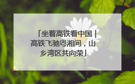 坐着高铁看中国｜高铁飞驰粤湘间，山乡湾区共向荣