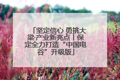 坚定信心 勇挑大梁·产业新亮点丨保定全力打造“中国电谷”升级版