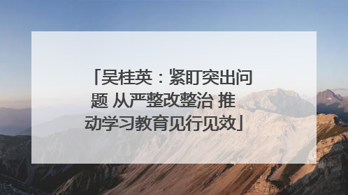 吴桂英：紧盯突出问题 从严整改整治 推动学习教育见行见效
