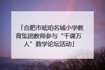 合肥市琥珀名城小学教育集团教师参与“千课万人”数学论坛活动