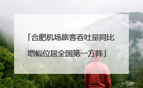 合肥机场旅客吞吐量同比增幅位居全国第一方阵