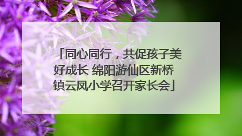 同心同行，共促孩子美好成长 绵阳游仙区新桥镇云凤小学召开家长会