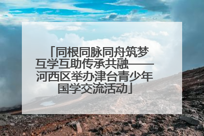 同根同脉同舟筑梦 互学互助传承共融——河西区举办津台青少年国学交流活动