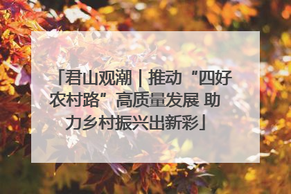 君山观潮｜推动“四好农村路”高质量发展 助力乡村振兴出新彩