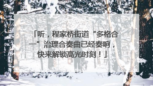听，程家桥街道“多格合一”治理合奏曲已经奏响，快来解锁高光时刻！
