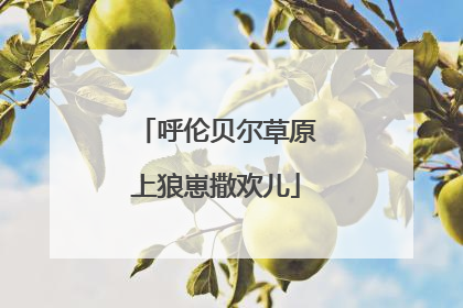 呼伦贝尔草原上狼崽撒欢儿
