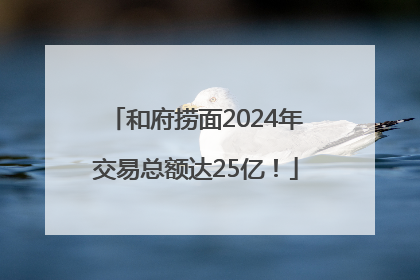和府捞面2024年交易总额达25亿！