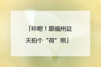 咔嚓！跟福州夏天拍个“荷”照
