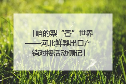 咱的梨“香”世界——河北鲜梨出口产销对接活动侧记