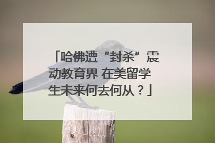 哈佛遭“封杀”震动教育界 在美留学生未来何去何从？