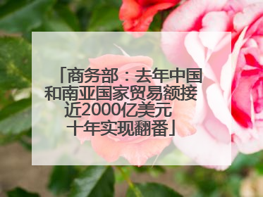 商务部：去年中国和南亚国家贸易额接近2000亿美元 十年实现翻番