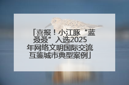 喜报！小江豚“蓝叒叒”入选2025年网络文明国际交流互鉴城市典型案例