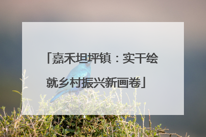 嘉禾坦坪镇：实干绘就乡村振兴新画卷
