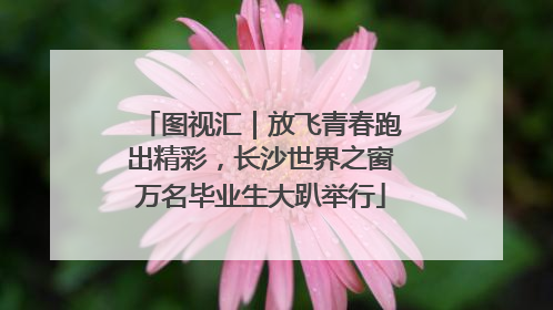 图视汇｜放飞青春跑出精彩，长沙世界之窗万名毕业生大趴举行