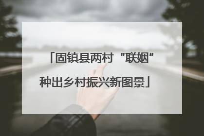 固镇县两村“联姻”种出乡村振兴新图景