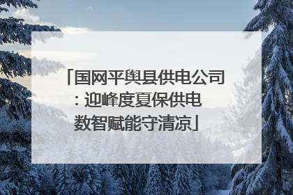 国网平舆县供电公司：迎峰度夏保供电  数智赋能守清凉