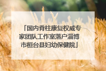国内脊柱康复权威专家团队工作室落户淄博市桓台县妇幼保健院