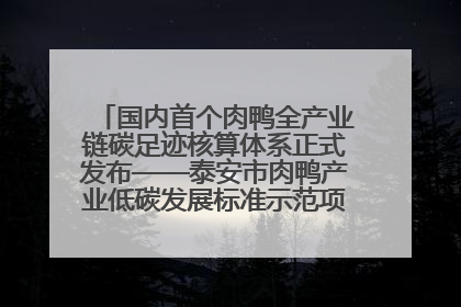 国内首个肉鸭全产业链碳足迹核算体系正式发布——泰安市肉鸭产业低碳发展标准示范项目顺利通过验收