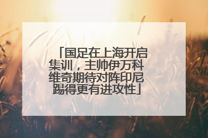 国足在上海开启集训，主帅伊万科维奇期待对阵印尼踢得更有进攻性