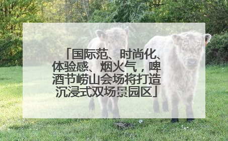 国际范、时尚化、体验感、烟火气，啤酒节崂山会场将打造沉浸式双场景园区