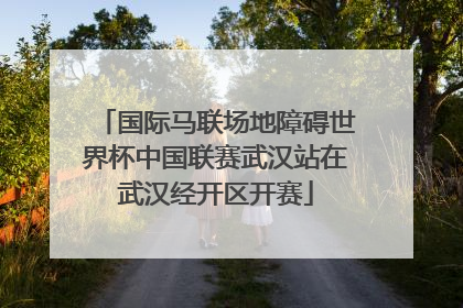 国际马联场地障碍世界杯中国联赛武汉站在武汉经开区开赛