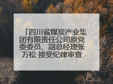 四川省煤炭产业集团有限责任公司原党委委员、副总经理张万松 接受纪律审查和监察调查