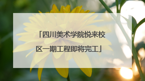 四川美术学院悦来校区一期工程即将完工