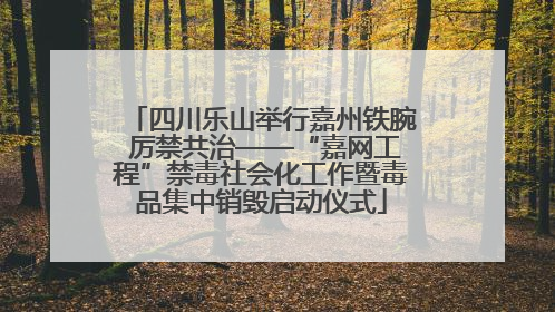 四川乐山举行嘉州铁腕 厉禁共治——“嘉网工程”禁毒社会化工作暨毒品集中销毁启动仪式