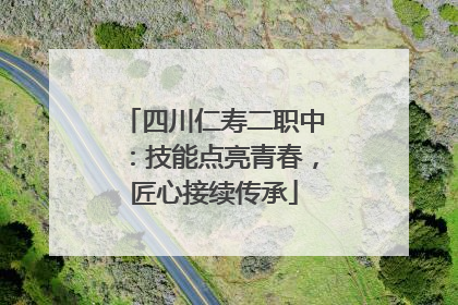 四川仁寿二职中：技能点亮青春，匠心接续传承