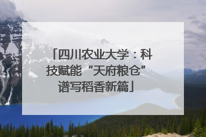四川农业大学：科技赋能“天府粮仓”谱写稻香新篇