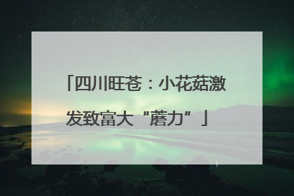 四川旺苍：小花菇激发致富大“蘑力”