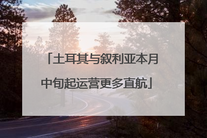 土耳其与叙利亚本月中旬起运营更多直航
