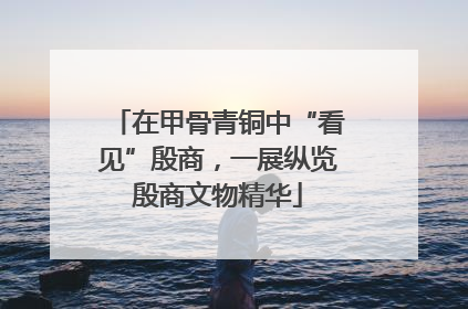 在甲骨青铜中“看见”殷商，一展纵览殷商文物精华