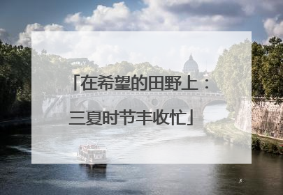 在希望的田野上：三夏时节丰收忙