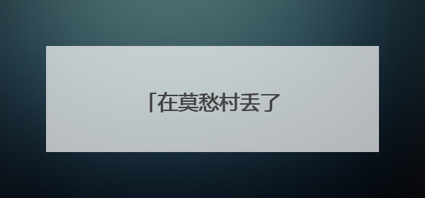 在莫愁村丢了证件你莫愁！