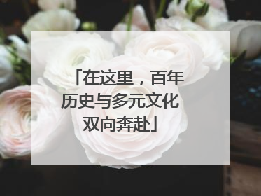 在这里，百年历史与多元文化双向奔赴