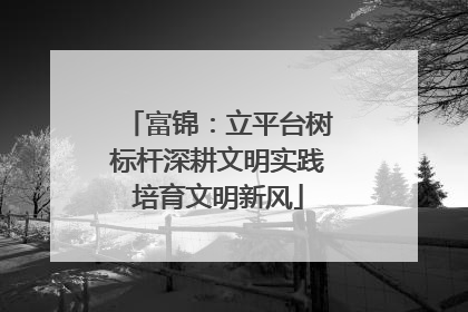 富锦：立平台树标杆深耕文明实践培育文明新风