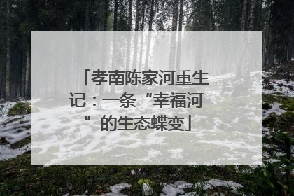 孝南陈家河重生记：一条“幸福河”的生态蝶变