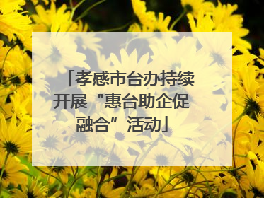 孝感市台办持续开展“惠台助企促融合”活动